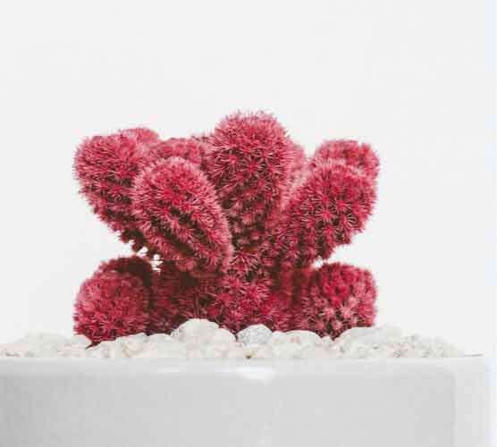 免费cc攻击测试