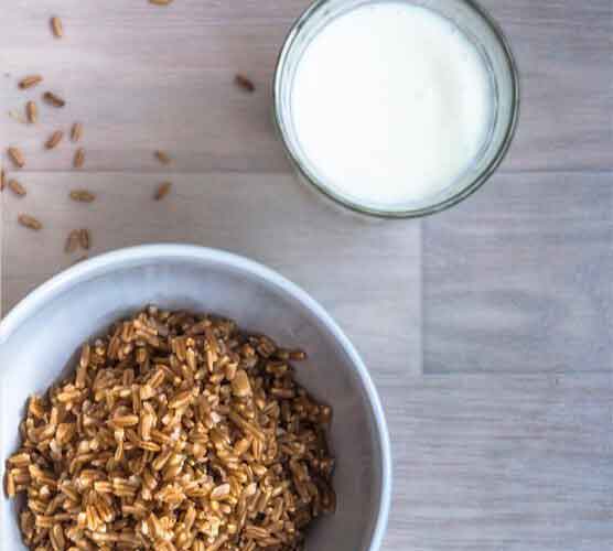 踏踏实实干活的免费ddos攻击网页端